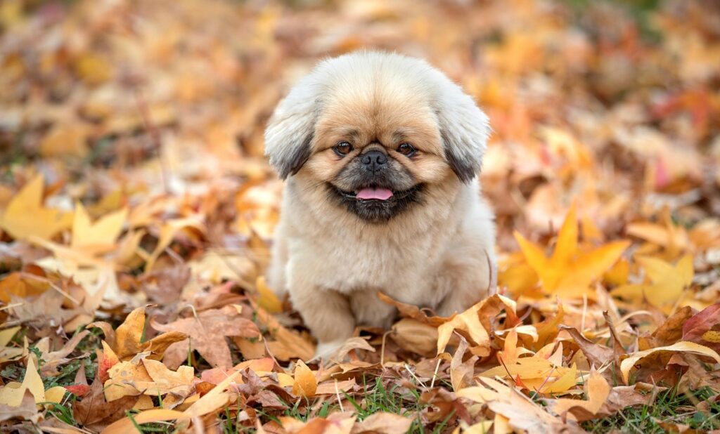 大分観光で楽しむおすすめコースは？