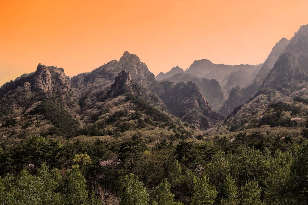 宮崎県観光のモデルコースで楽しむおすすめスポットは？