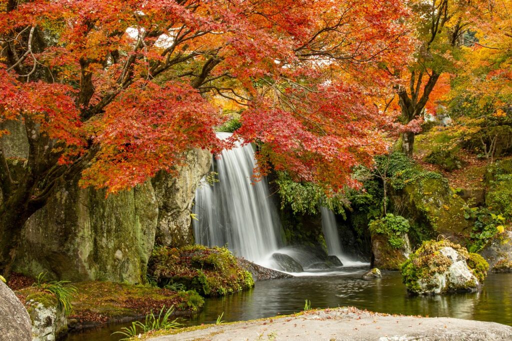 桜島観光のモデルコースをバスで楽しむおすすめプランは？