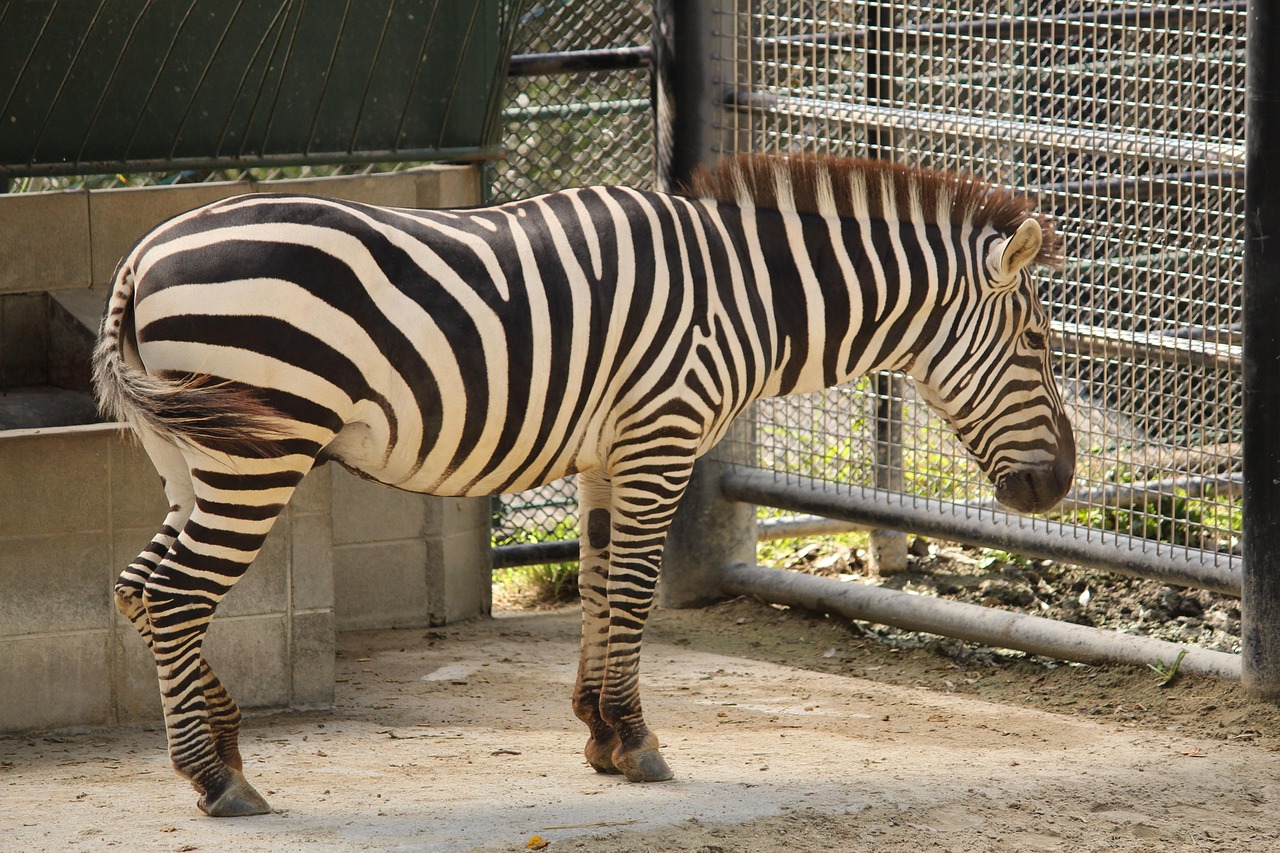 福岡から別府への観光で訪れるべきスポットは？
