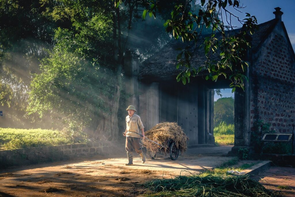 旅行予算を抑えるための賢い旅行計画のコツは？