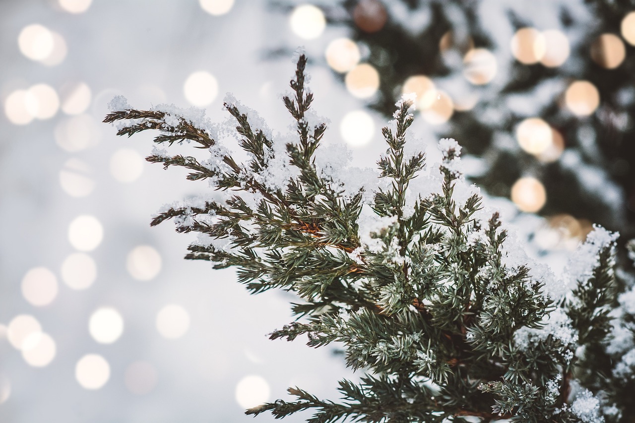 福岡から杉乃井ホテルまでの高速バスの利用方法は？