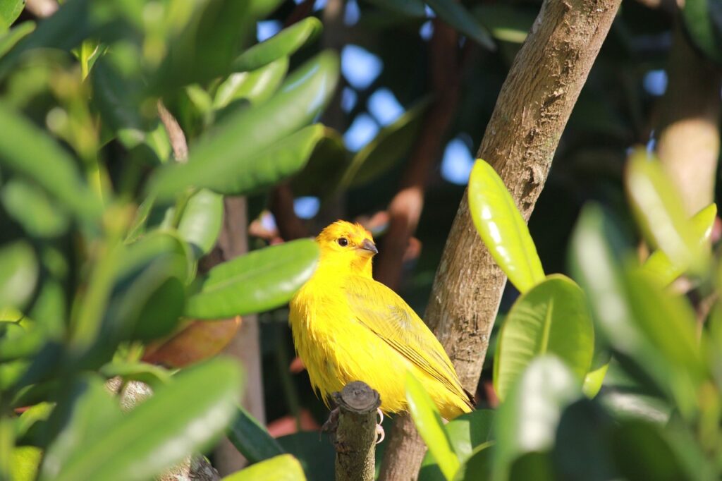 福岡観光を楽しむための1泊2日モデルプランは？