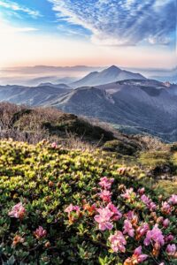 鹿児島の霧島観光モデルコースで楽しむ1泊2日は？